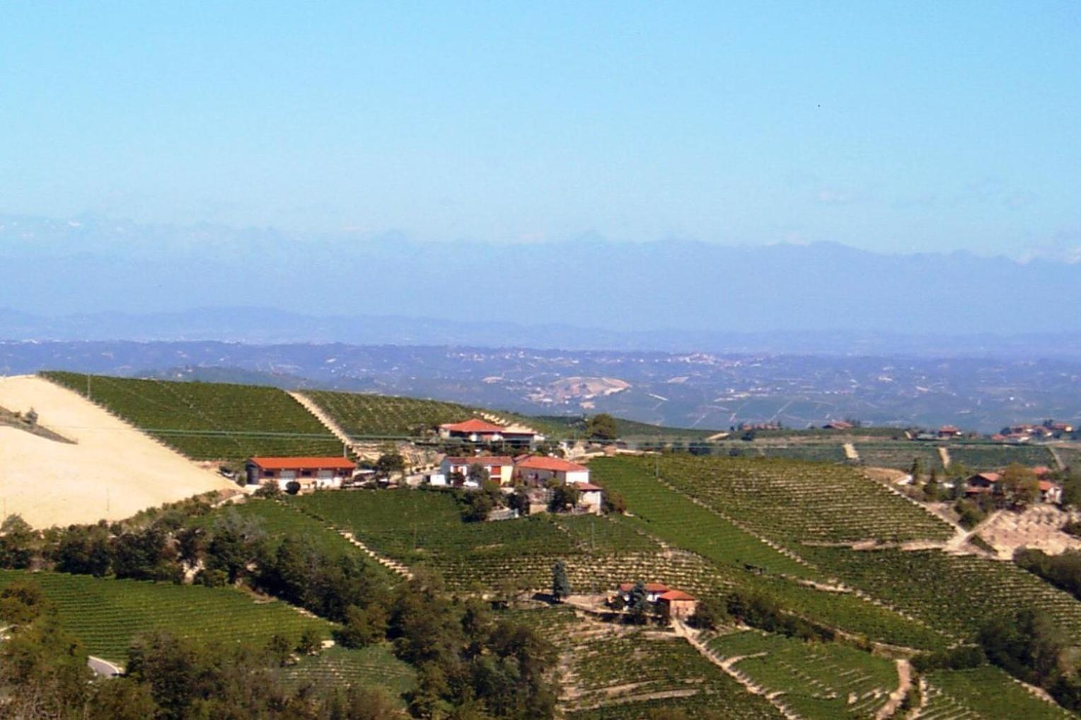 Agriturismo Finestre Di Langa Trezzo Tinella Exterior foto